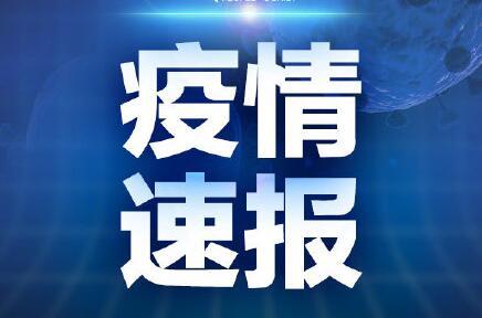 今日青岛爆料新闻最新,神秘事件引发全城热议  第2张